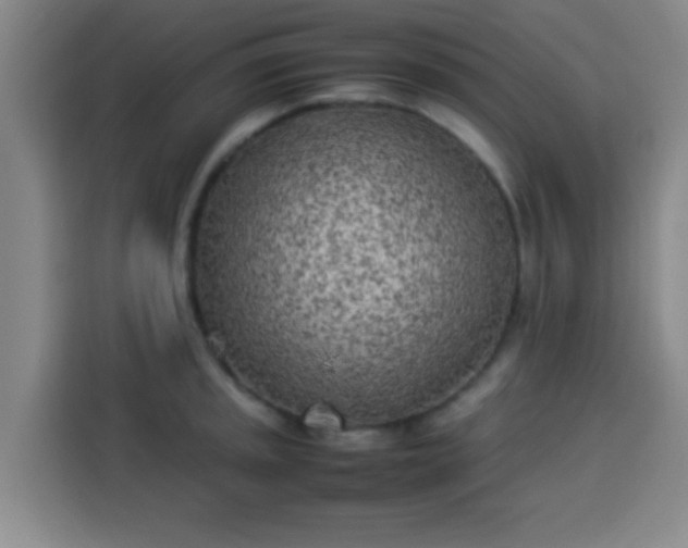 X0000113931045200910021238