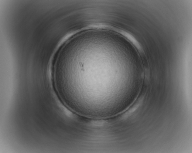 X0000113931046200910021238