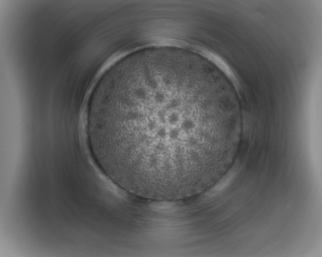 X0000113931048200910021238