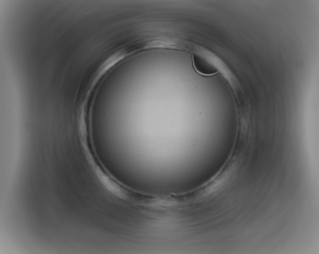 X0000113931050200910021238