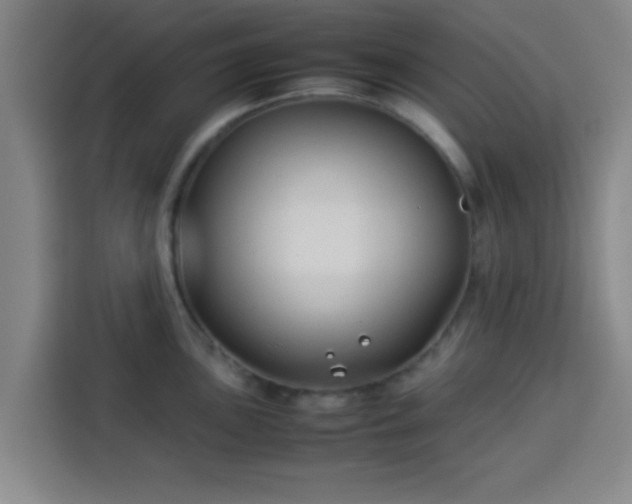 X0000113931051200910021238