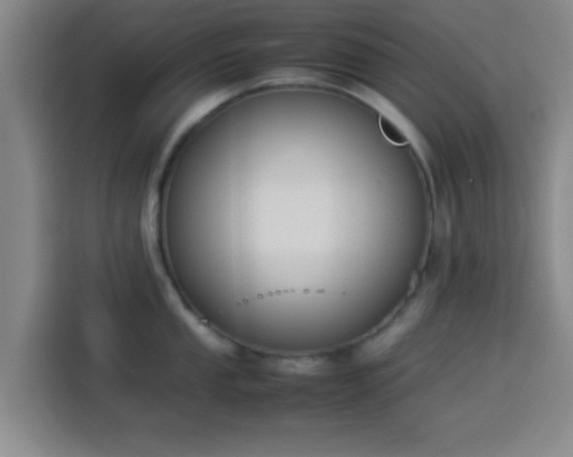 X0000113931053200910021238