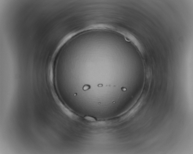 X0000113931054200910021238