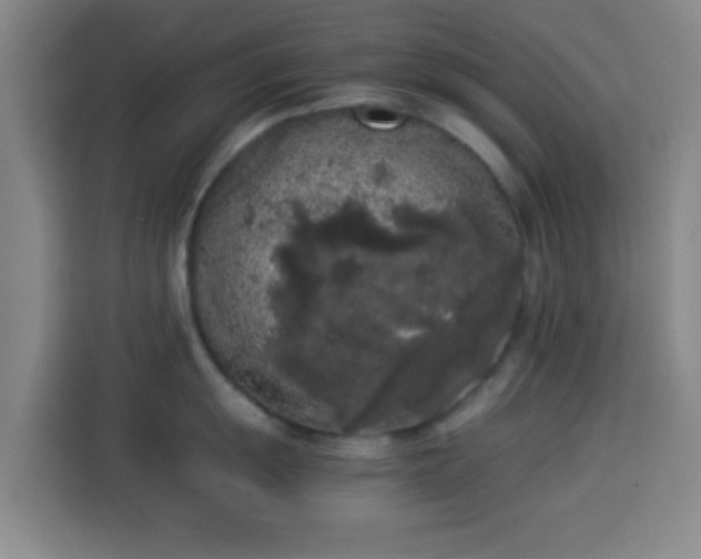 X0000113931055200910021238
