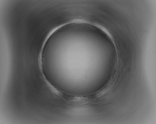 X0000113931056200910021238