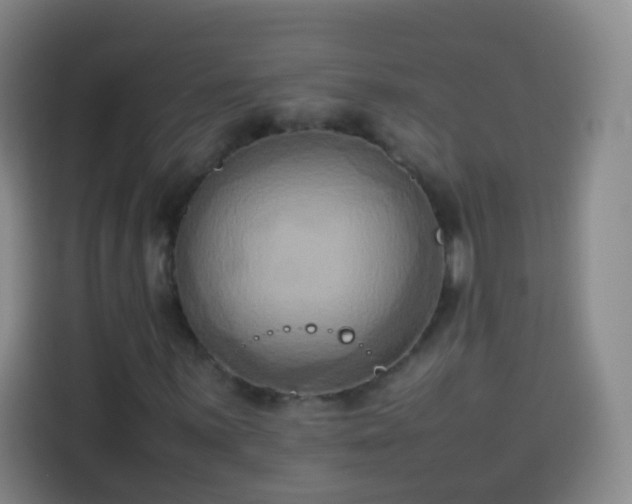 X0000113931059200910021238