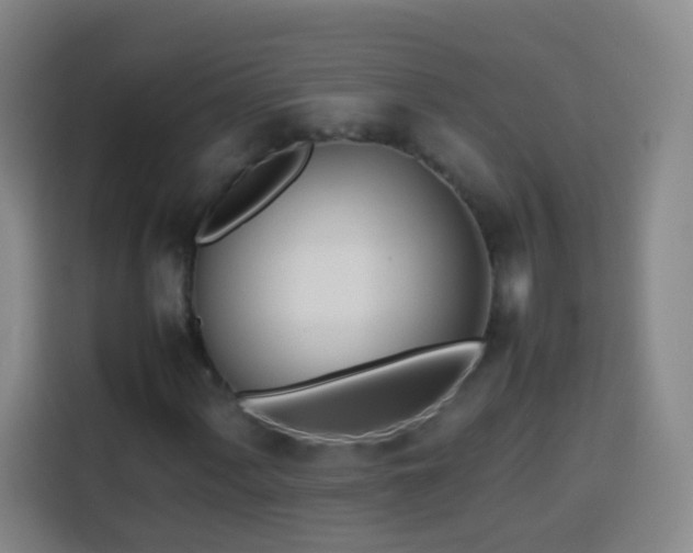 X0000113931060200910021238