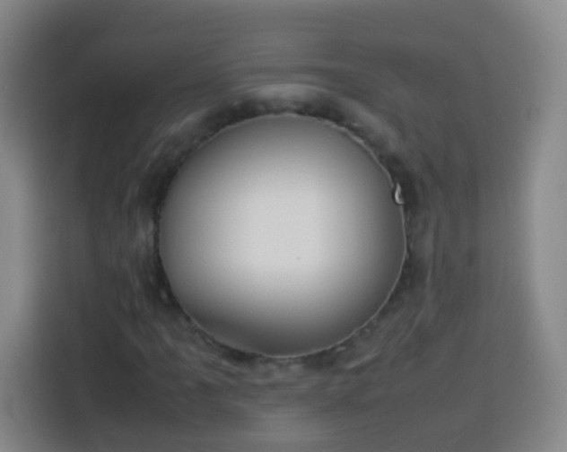 X0000113931061200910021238