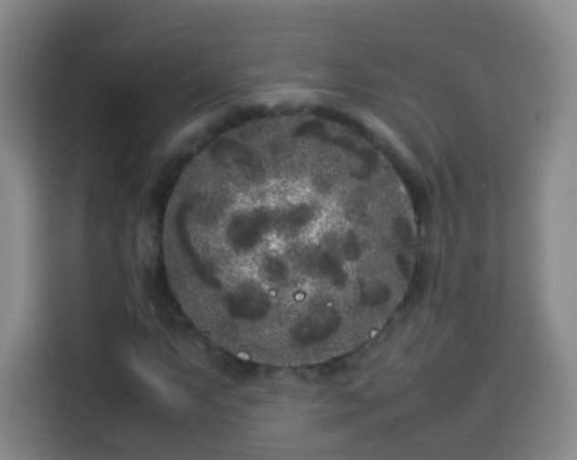 X0000113931063200910021238