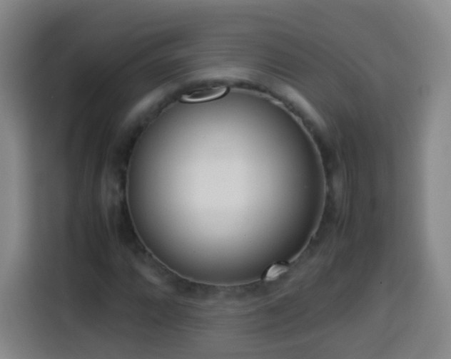 X0000113931064200910021238