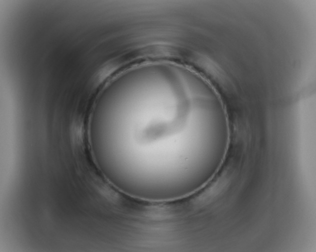 X0000113931065200910021238
