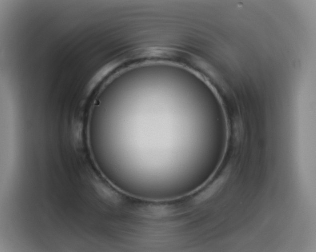 X0000113931066200910021238