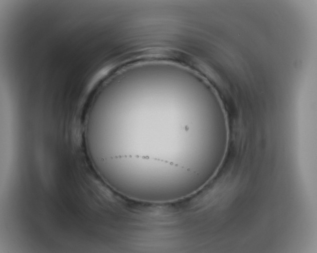 X0000113931067200910021238