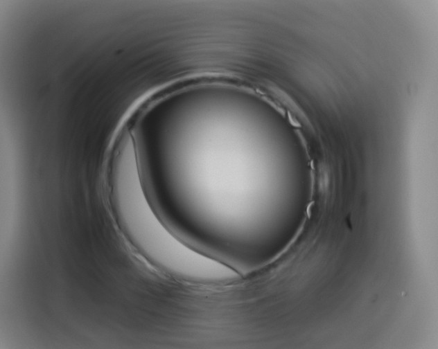 X0000113931068200910021238