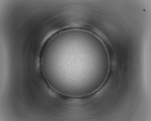 X0000113931070200910021238