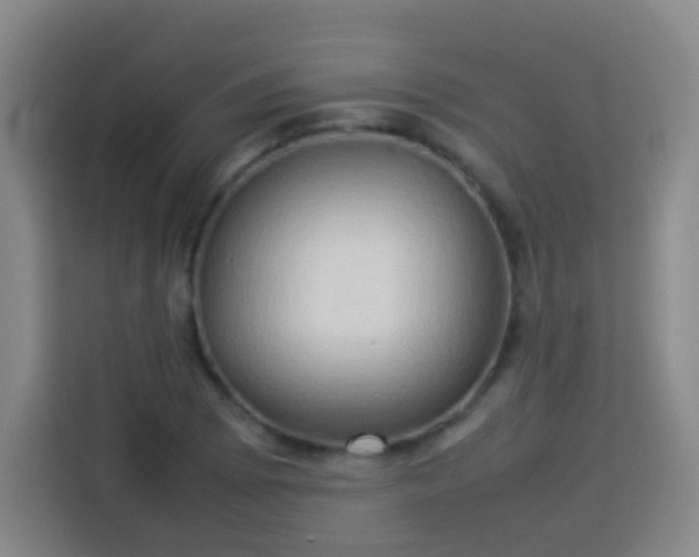X0000113931073200910021238