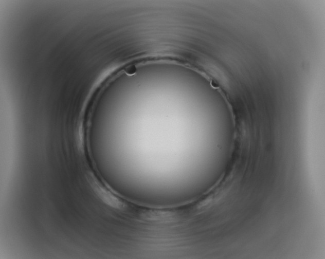 X0000113931076200910021237