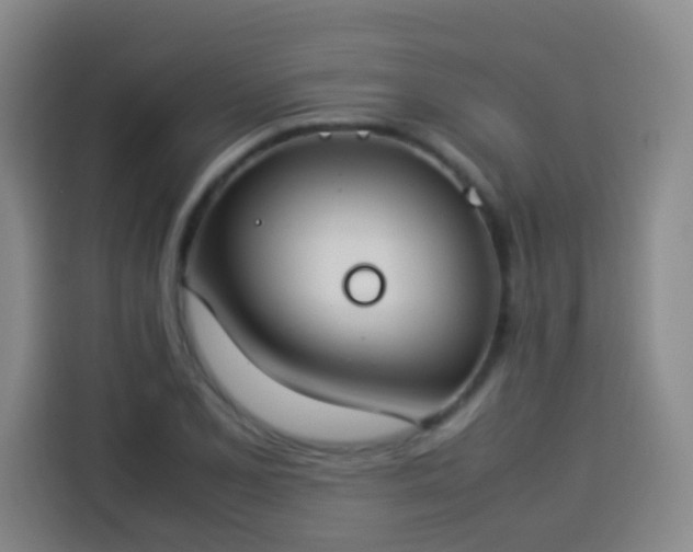 X0000113931077200910021237