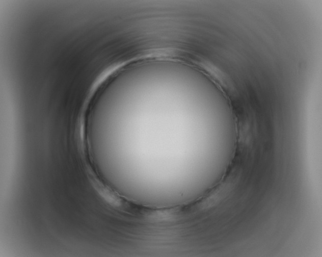 X0000113931078200910021237