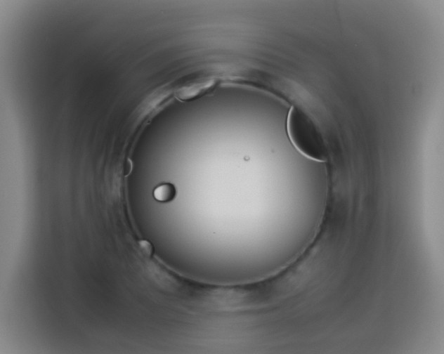 X0000113931081200910021237