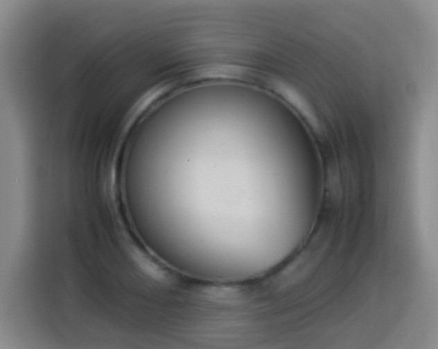 X0000113931082200910021237
