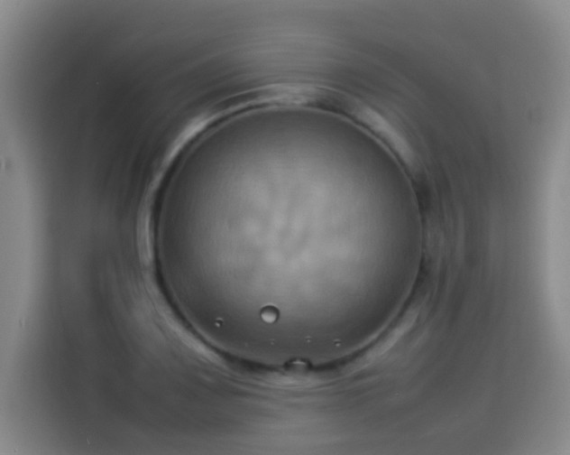 X0000113931083200910021237