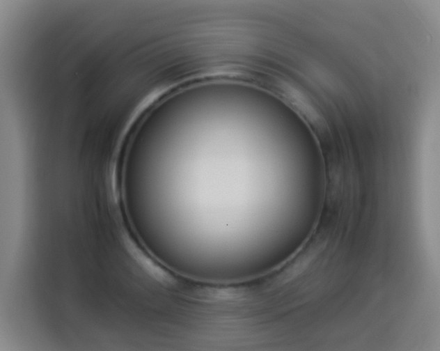 X0000113931084200910021237