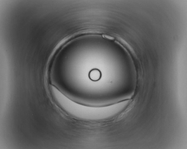 X0000113931085200910021237