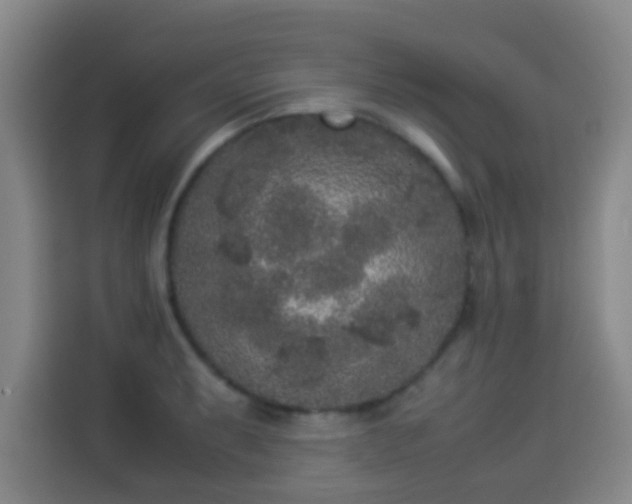 X0000113931087200910021237