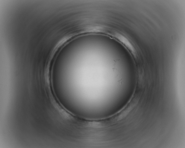 X0000113931088200910021237