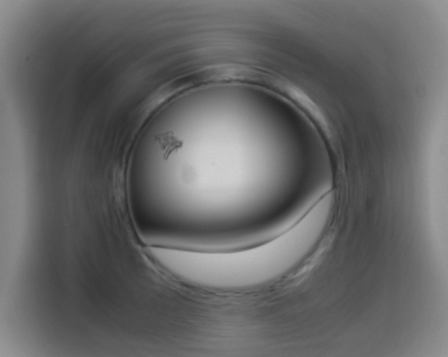 X0000113931089200910021237