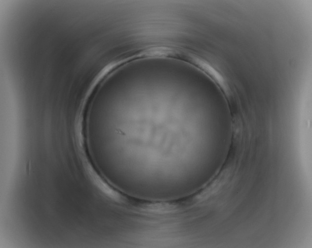 X0000113931091200910021237