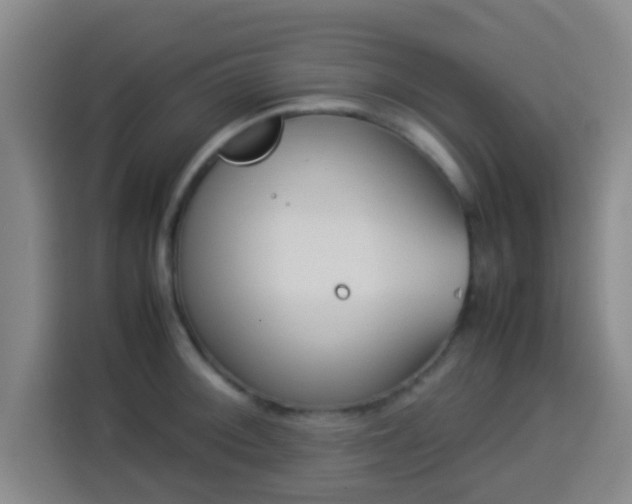 X0000113931092200910021237