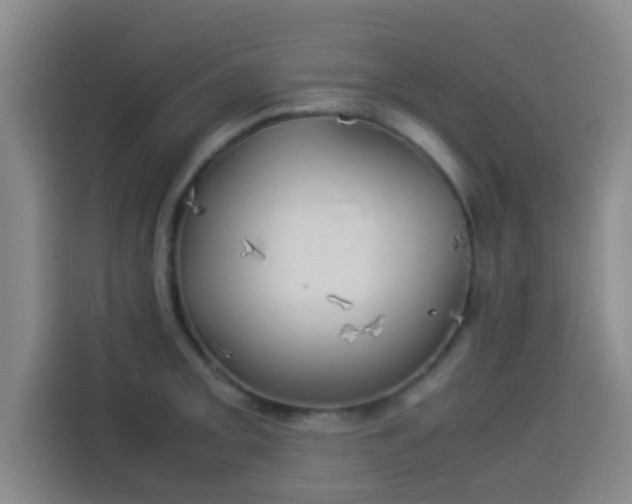 X0000113931093200910021237