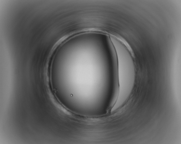 X0000113931096200910021237