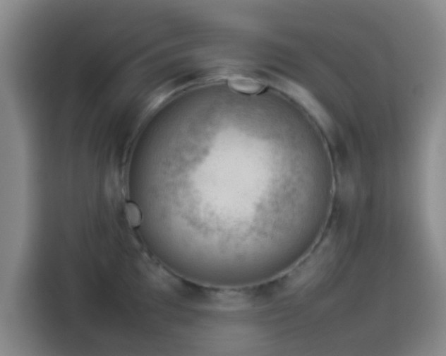 X0000113931097200910021237