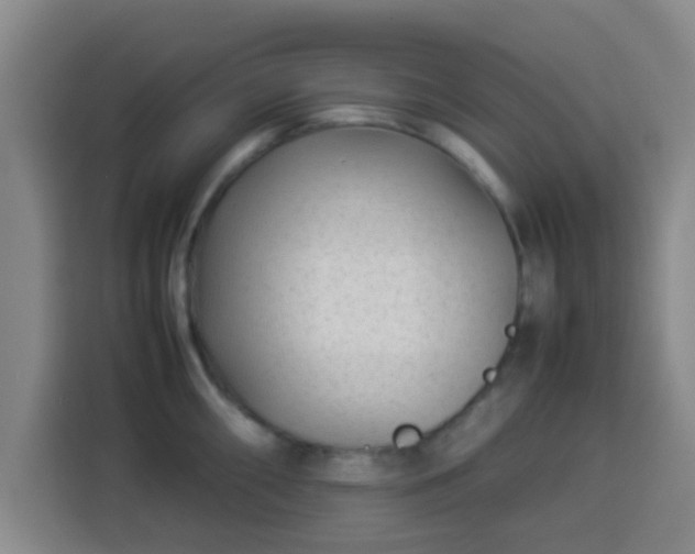 X0000113931098200910021237