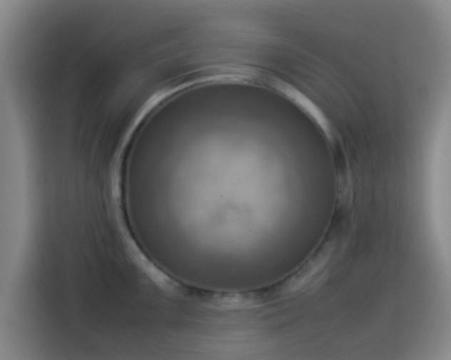 X0000113931099200910021237