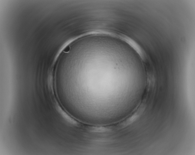 X0000113931100200910021237