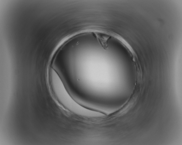 X0000113931101200910021237