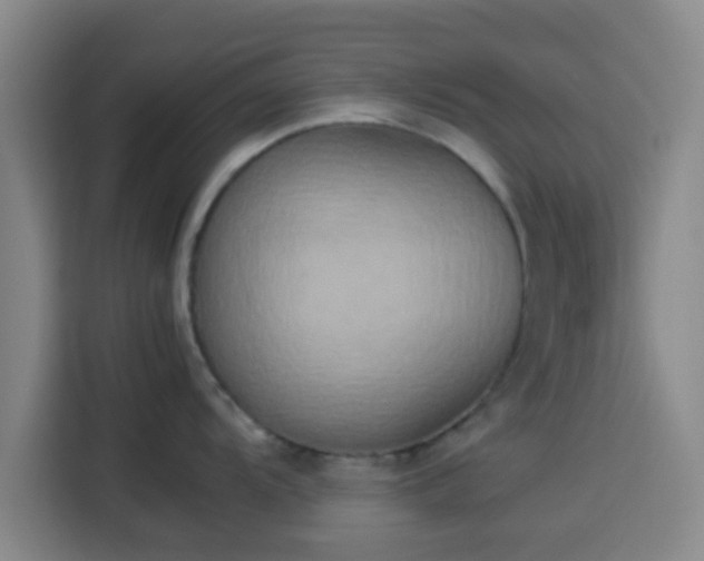 X0000113931104200910021237