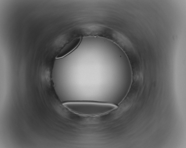 X0000113931108200910021237