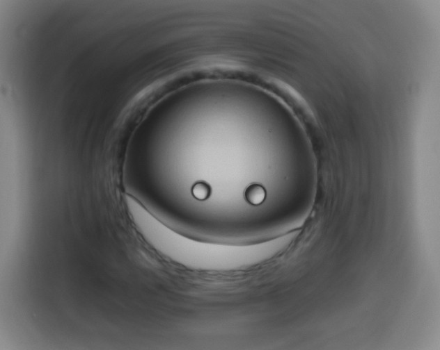 X0000113931112200910021237