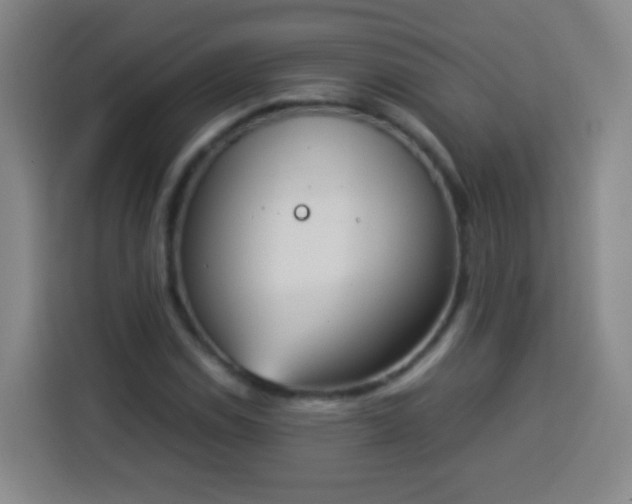 X0000113931114200910021237