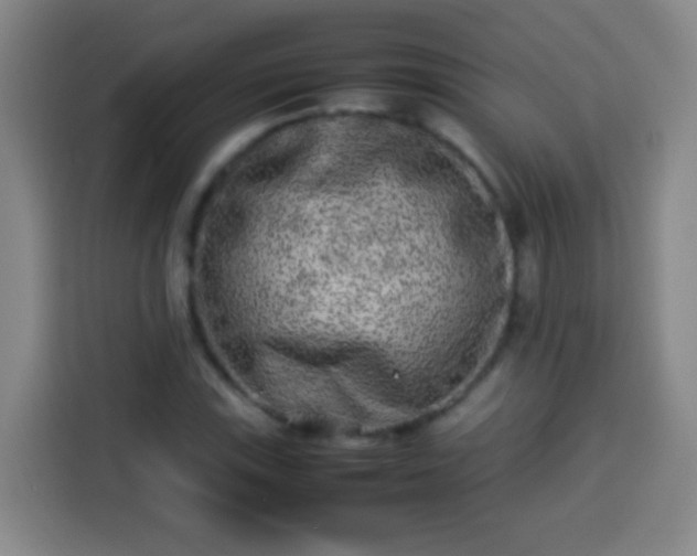 X0000113931115200910021237