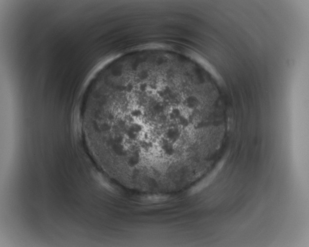 X0000113931117200910021237