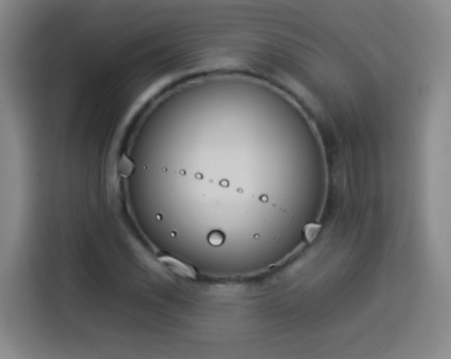 X0000113931118200910021237