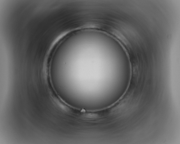 X0000113931119200910021237