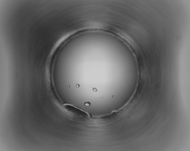 X0000113931120200910021237