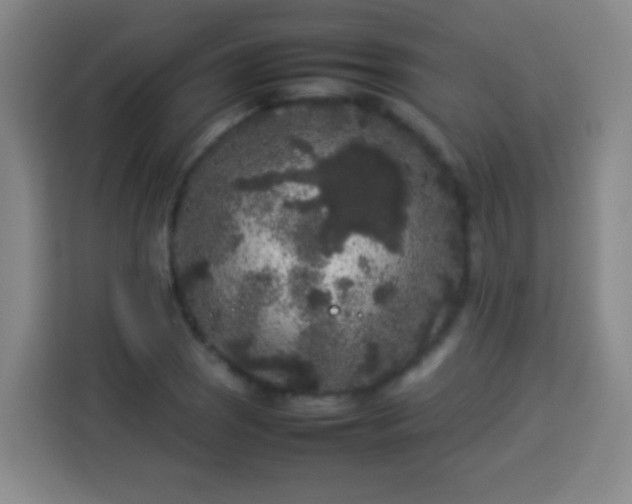 X0000113931121200910021237